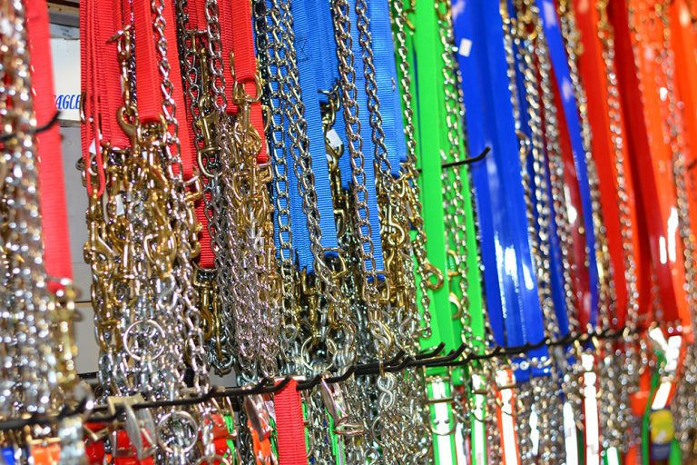 Dog Training & Supplies Elkins, WV Middle Mountain Sporting Goods